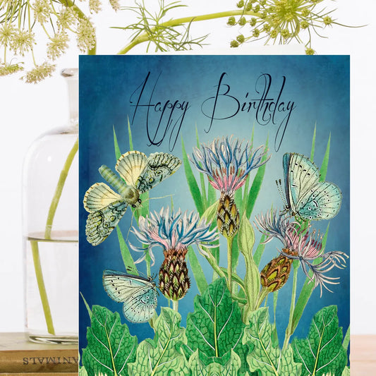 Birthday Greeting Card - HB216P