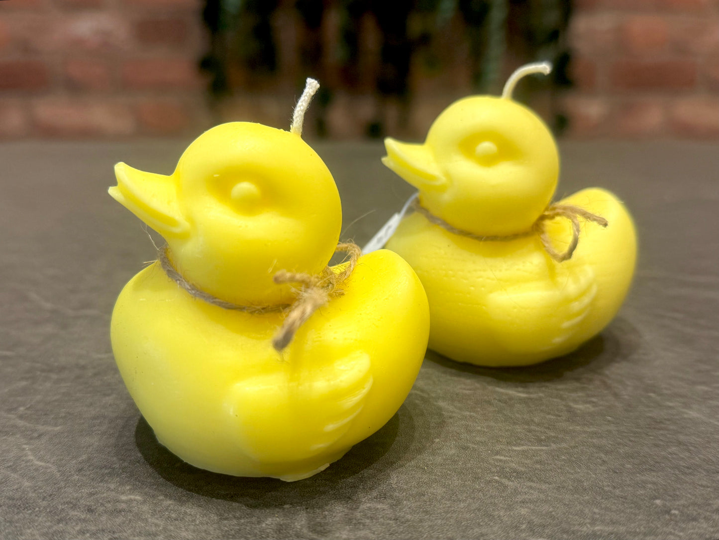 Duck Candle