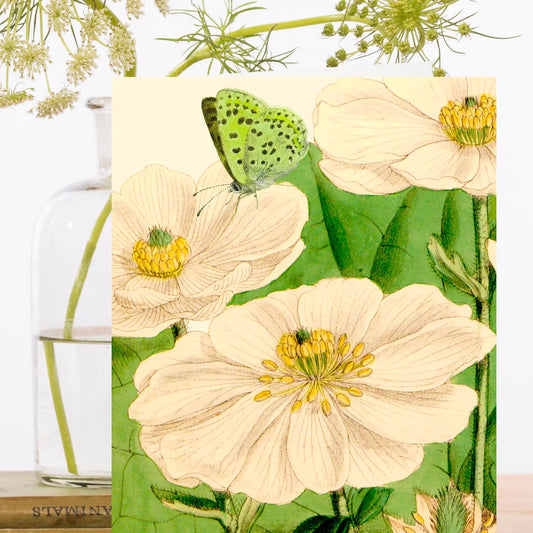 Blank Botanical Greeting Card - RS192P