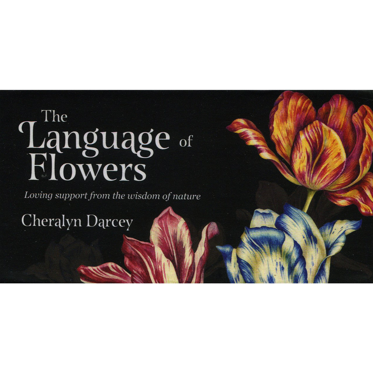 The Language of Flowers Mini Cards - Cheralyn Darcey