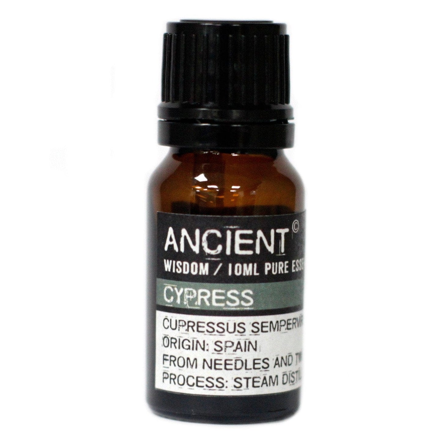 Ancient Wisdom Essential Oils & Fragrance 10 ml Cypress Essential Oil