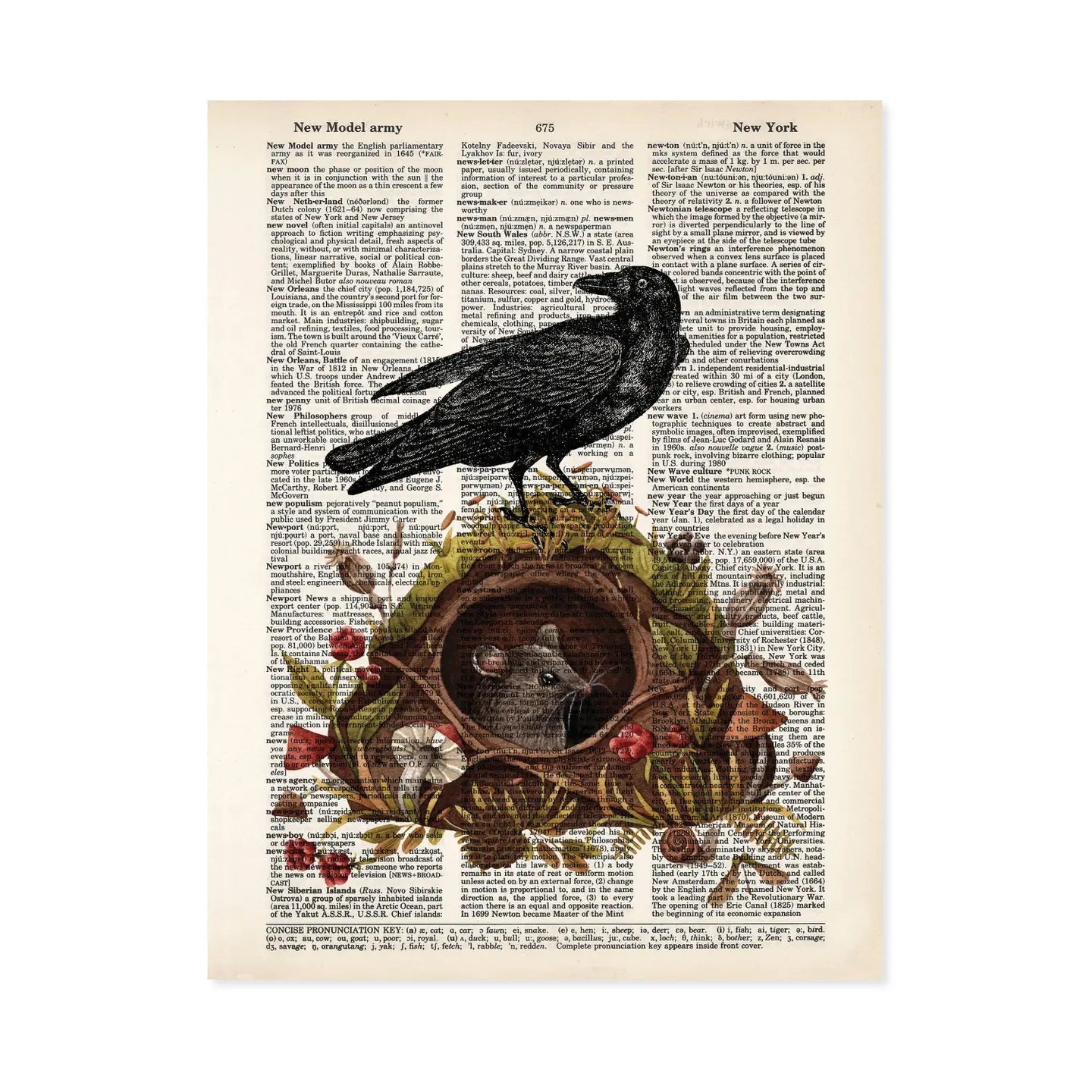 Blue Poppy Gallery Prints Blackbird Perched On Mouse Burrow with Mushrooms and Berries - BP398