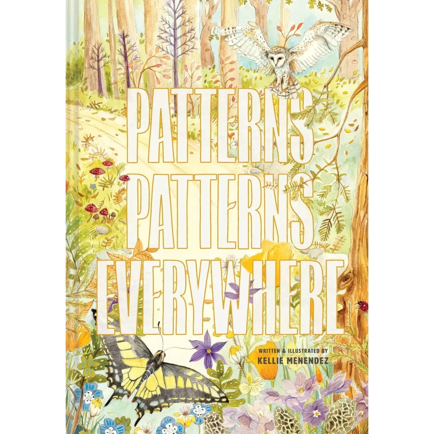 Simon & Schuster UK Books Patterns, Patterns Everywhere Book