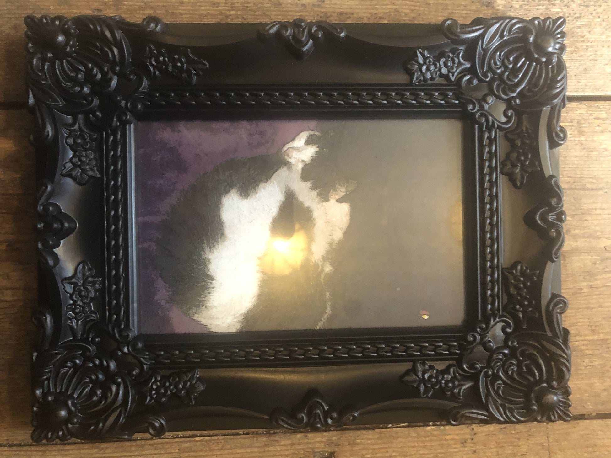 Boris Cat Print and Black Frame - The Hare and the Moon