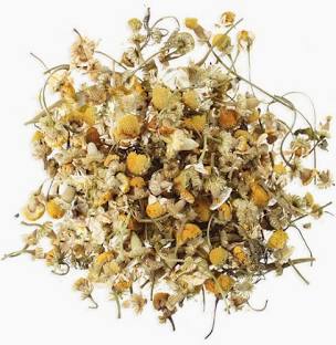 Chamomile - Witches Kitchen - WC902