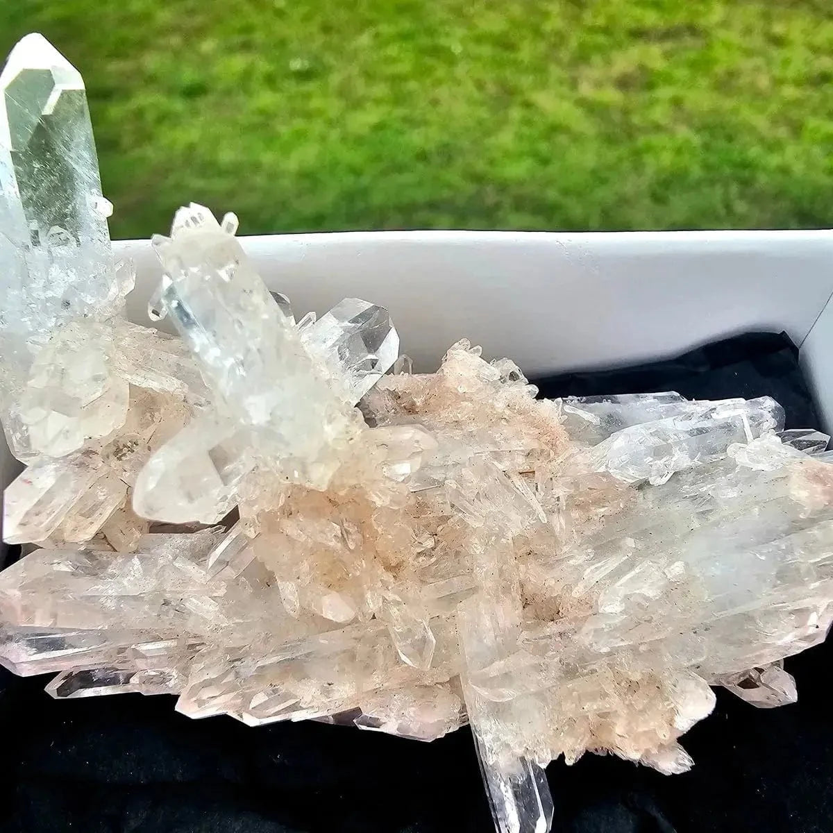 The Hare and the Moon Crystals Pink Colombian Lemurian Quartz - The Stone of Starseeds - QT1