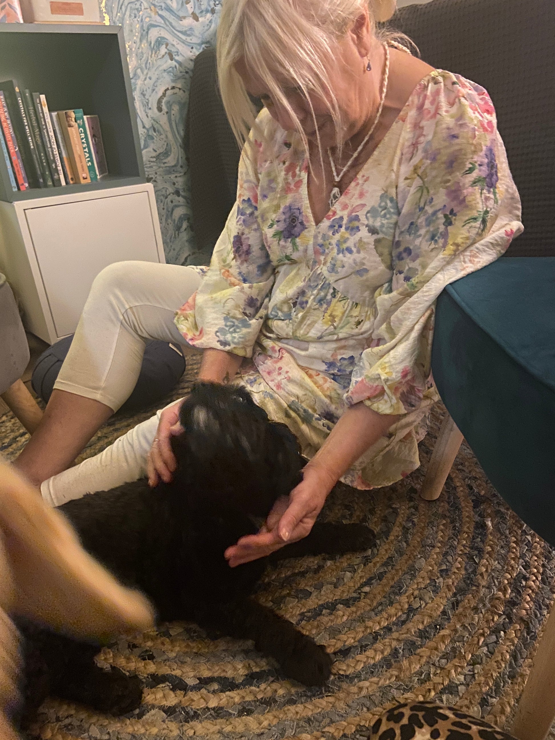 Dog Reiki Healing with Yvonne Oakes - The Hare and the Moon