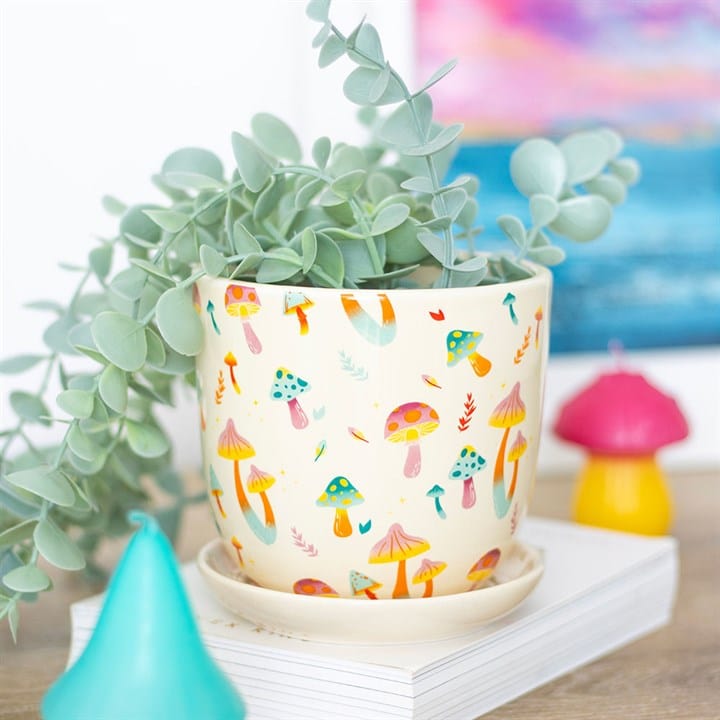 funky plant pots uk FUNKY FUNGI MUSHROOM PRINT PLANT POT WITH SAUCER – The Hare and the Moon