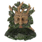 Large Green Man Bird Feeder - The Hare and the Moon