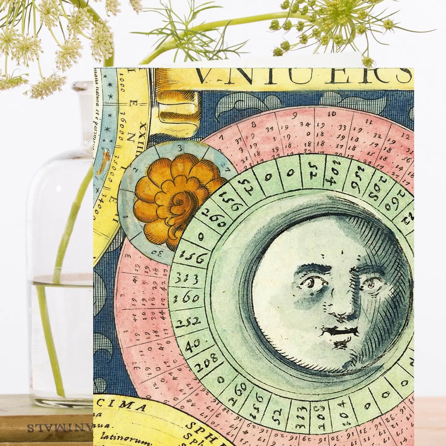 Madame Treacle Cards Blank Vintage Colour Chart Greeting Card - RS231P