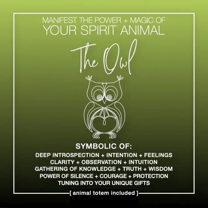 MANIFEST THE POWER + MAGIC OF YOUR SPIRIT ANIMAL THE OWL - The Hare and the Moon
