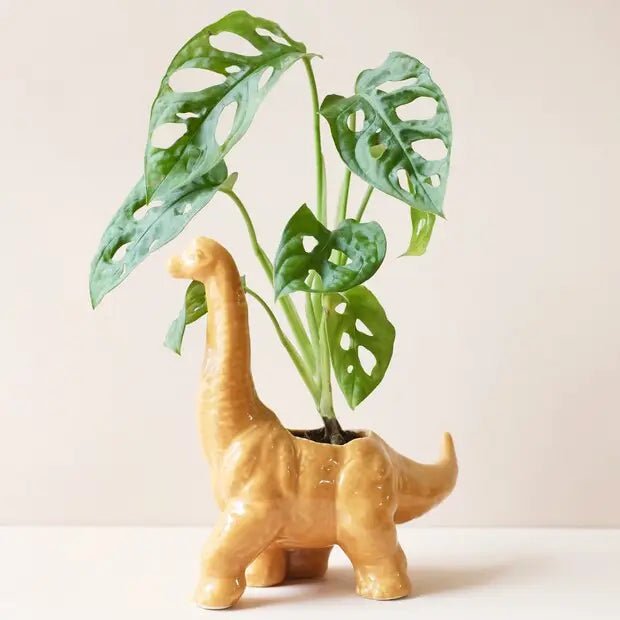 Mustard Diplodocus Dinosaur Planter - The Hare and the Moon