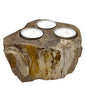 Petrified Wood Candle Holder - Triple - The Hare and the Moon