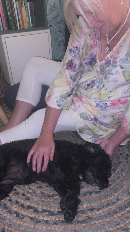 Dog Reiki Healing with Yvonne Oakes
