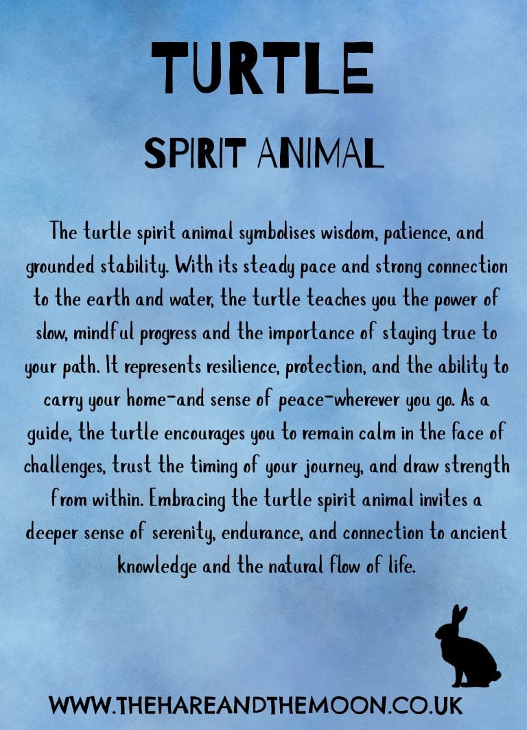 The Hare and the Moon Spirit Animal Charm - Turtle - SPA22