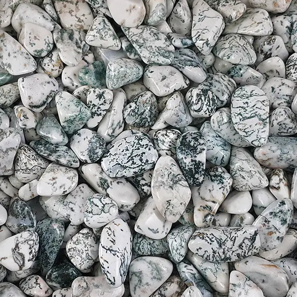 Tree Agate Tumble Stone - The Stone of Nature