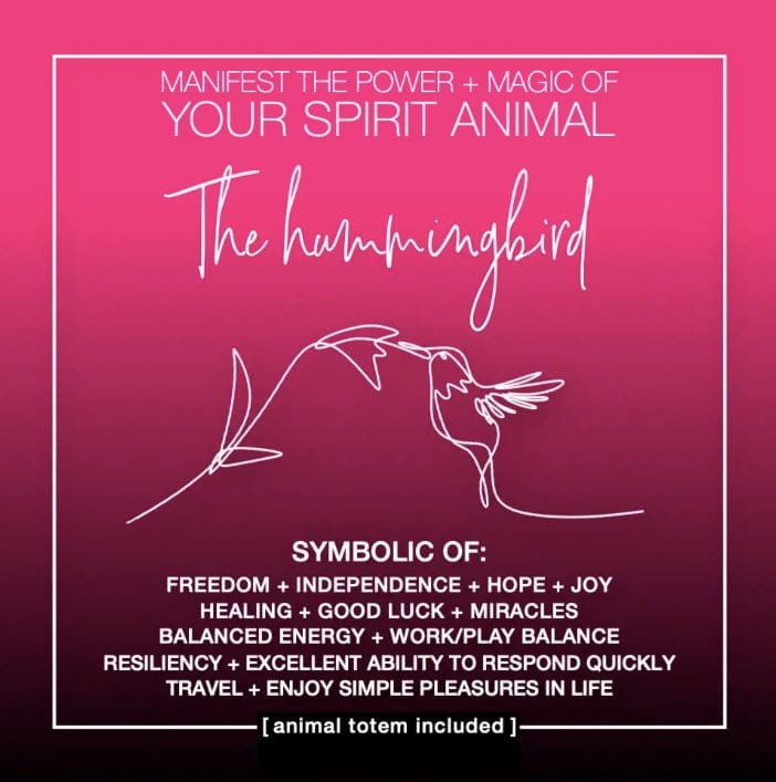 Warm Human Cards MANIFEST THE POWER + MAGIC OF YOUR SPIRIT ANIMAL HUMMINGBIRD