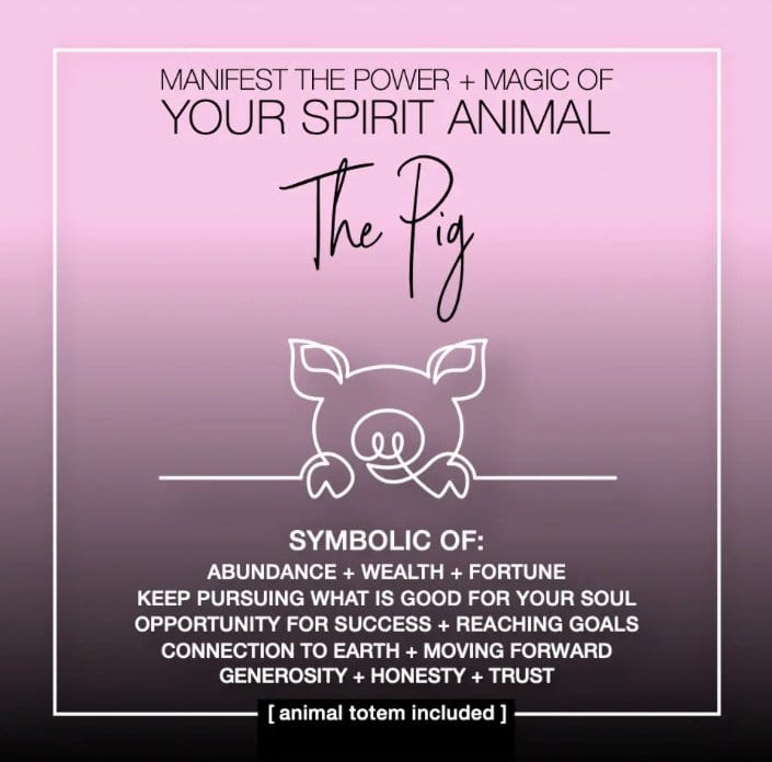 Warm Human Cards MANIFEST THE POWER + MAGIC OF YOUR SPIRIT ANIMAL THE PIG