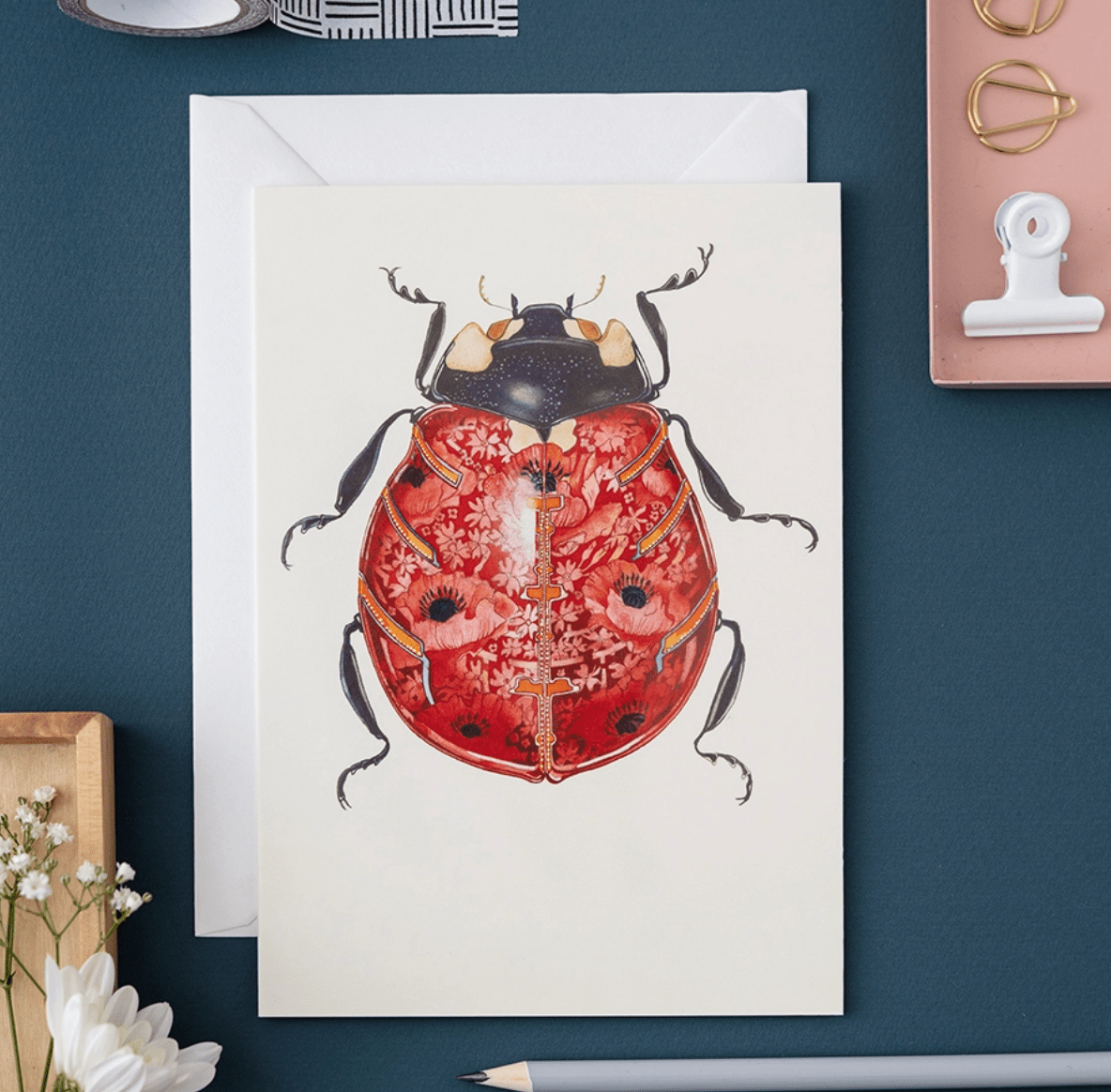 DM Cards Ladybird Greeting Card - DM25