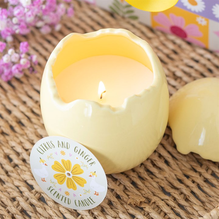 CITRUS & GINGER EGG SHAPED CANDLE