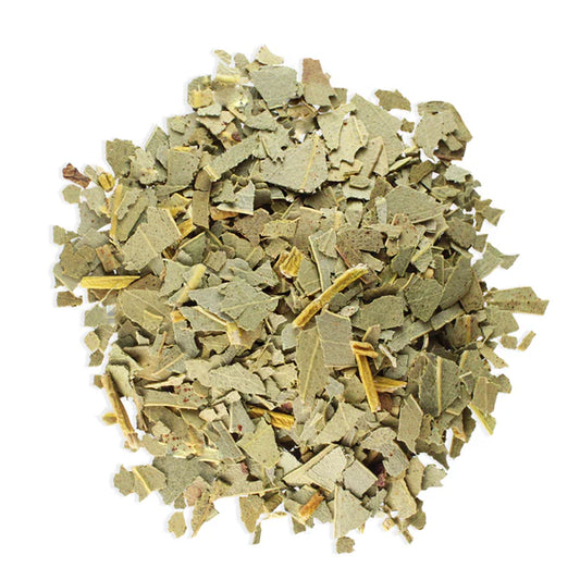 Eucalyptus Leaves Cut - Witches Kitchen - WC1007