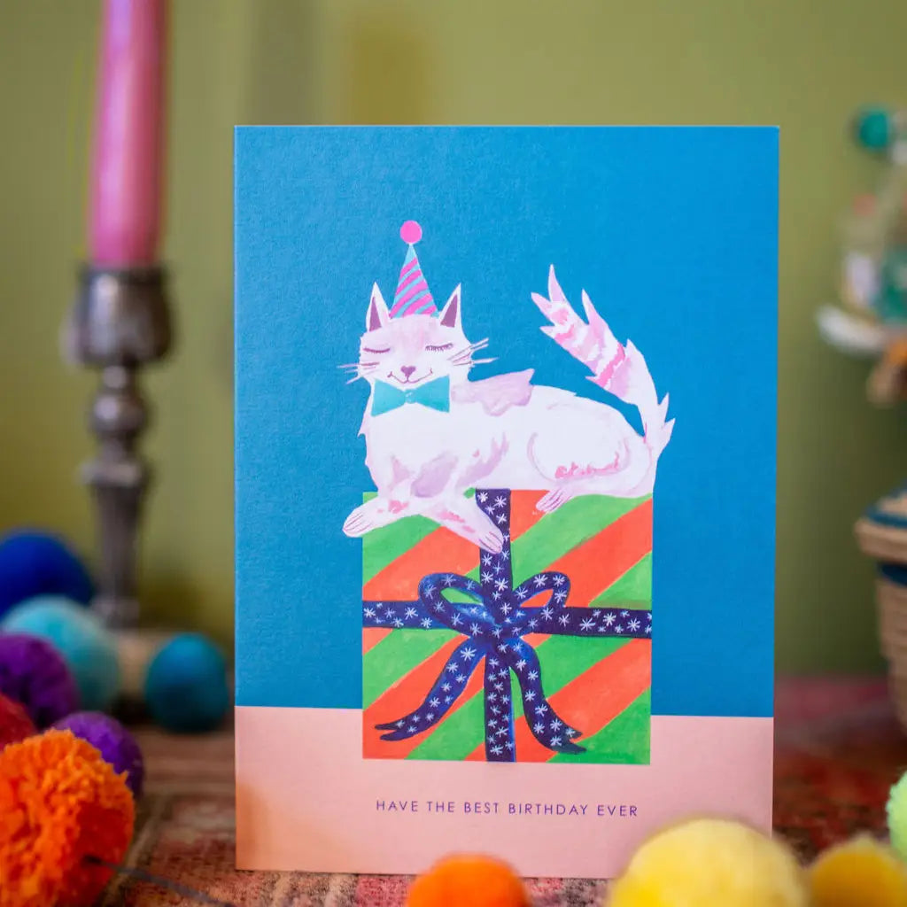 Cat On Present Birthday Greetings Card - HCWB431