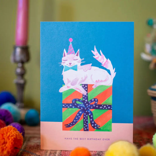 Cat On Present Birthday Greetings Card - HCWB431