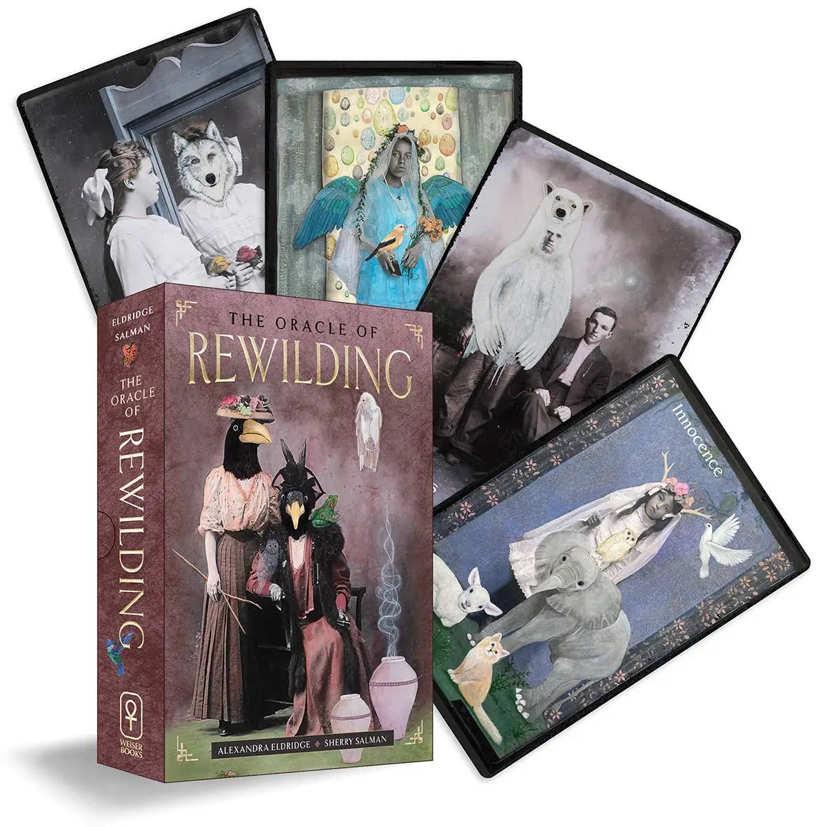 Oracle of Rewilding Cards