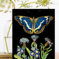 Blank Botanical Butterfly Greeting Card - RS180P