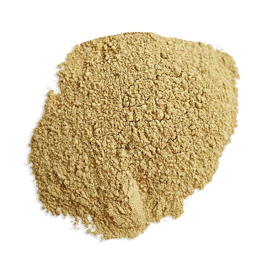 Shiitake Mushroom Powder - Witches Kitchen - WC905