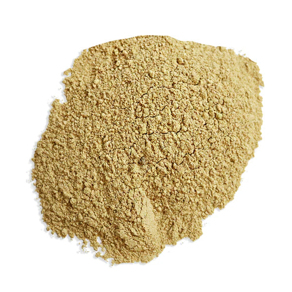 Shiitake Mushroom Powder - Witches Kitchen - WC905