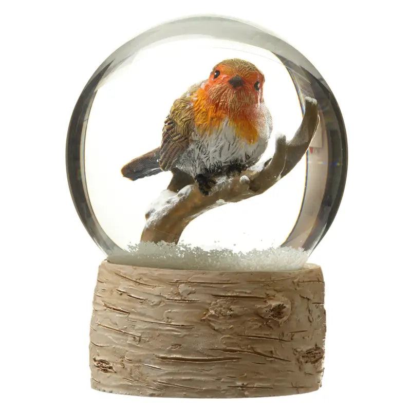 Snowglobe with Robin - GAC101