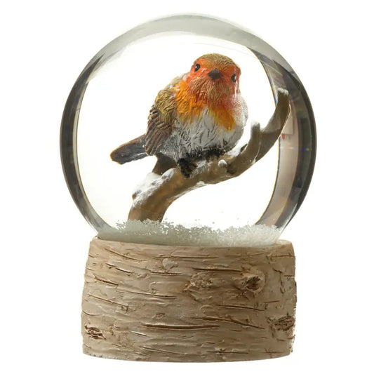 Snowglobe with Robin - GAC101
