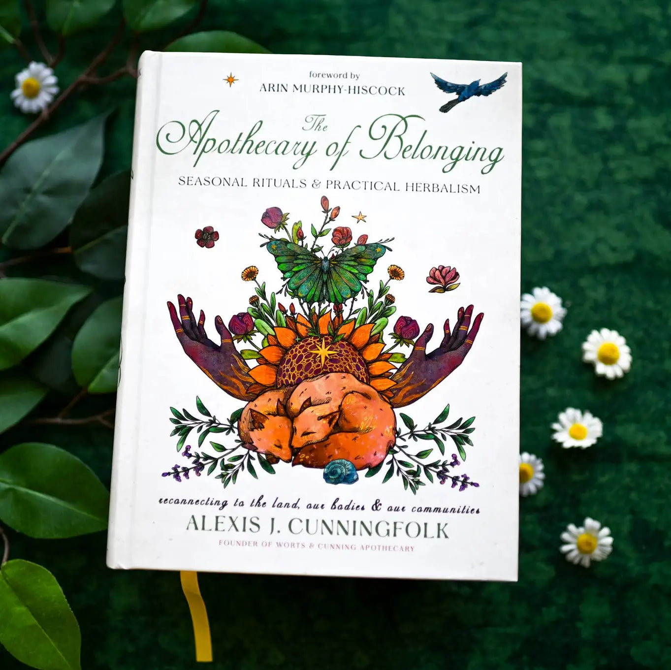 The Apothecary of Belonging: Seasonal Rituals & Herbalism Book