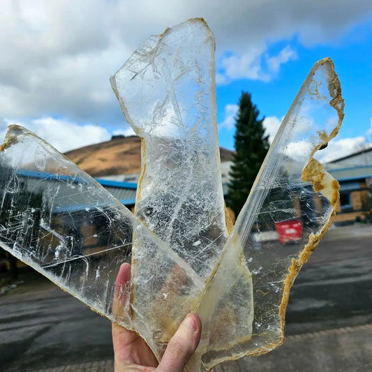 Xl Large True Selenite Crystal Slabs Natural - TSEL1