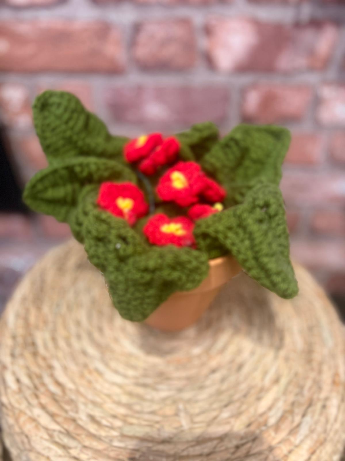 CROCHET PRIMROSE POTS