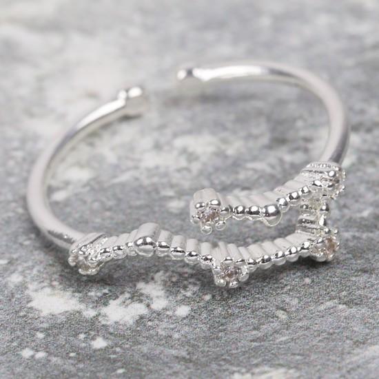 Adjustable Sterling Silver Constellation Ring - Aquarius - The Hare and the Moon