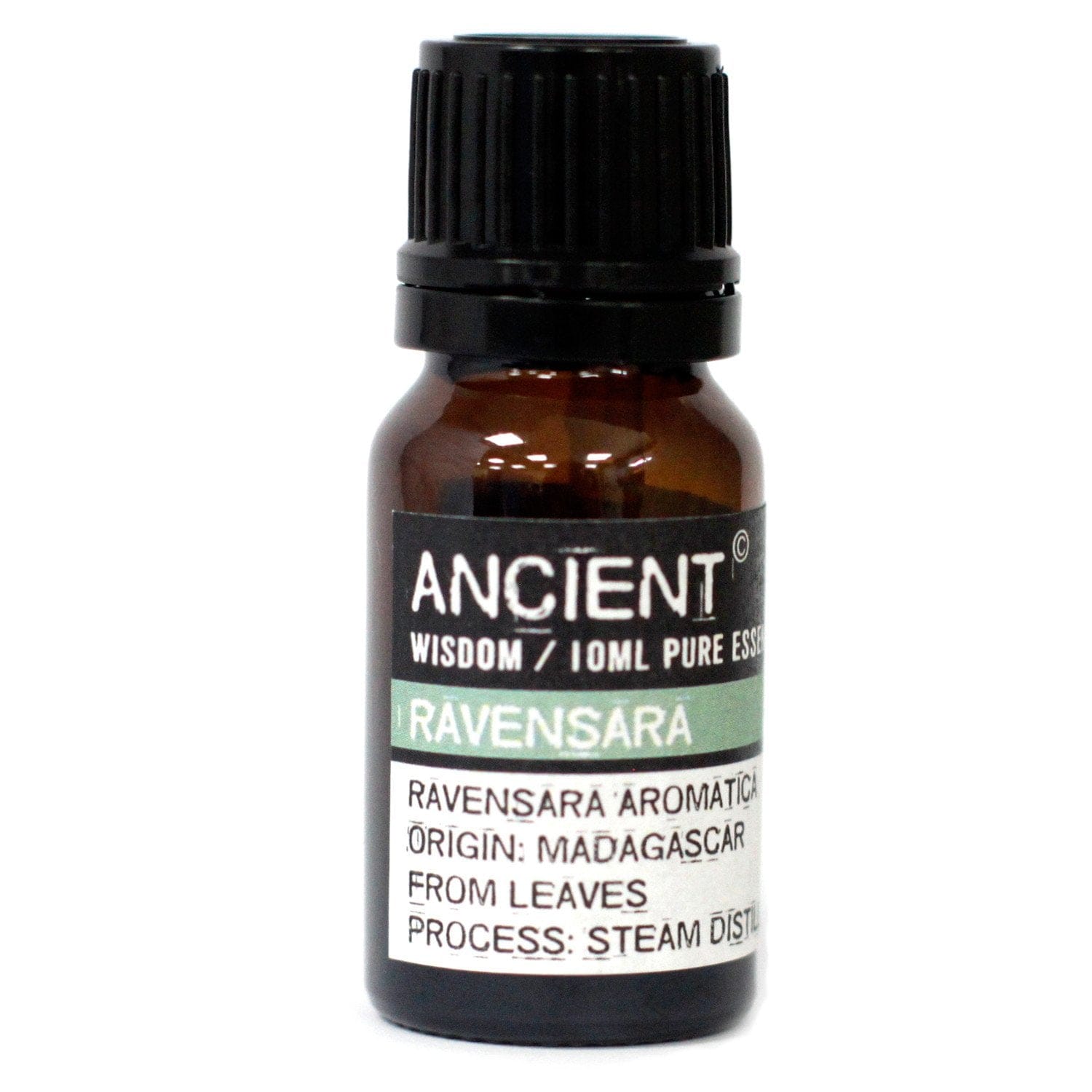 Ancient Wisdom Essential Oils & Fragrance 10 ml Ravensara Essential Oil