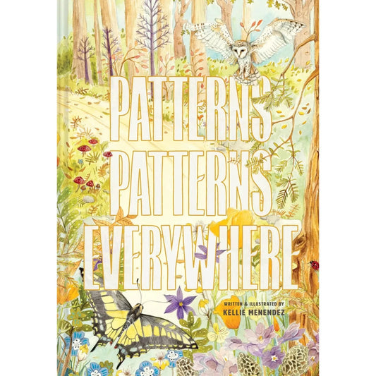 Simon & Schuster UK Books Patterns, Patterns Everywhere Book