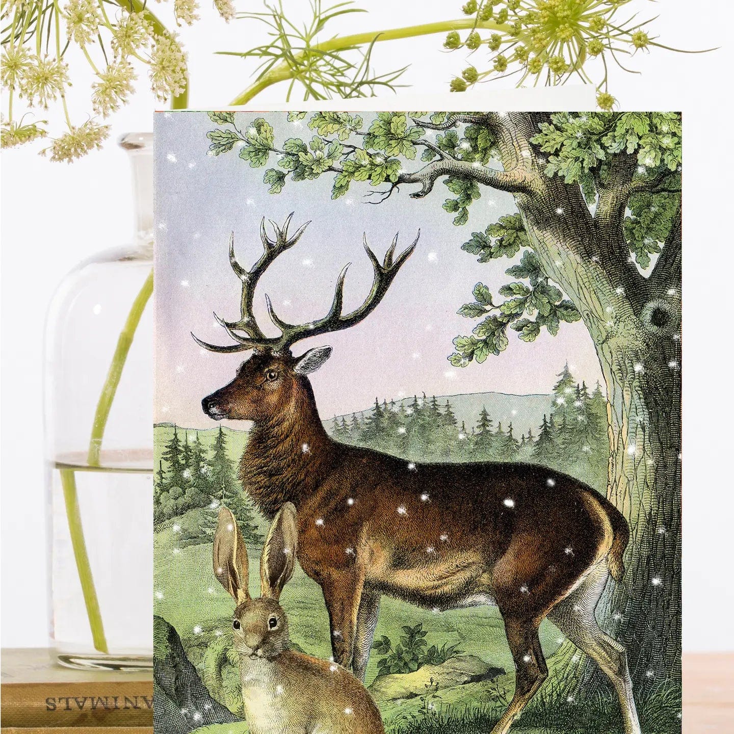Madame Treacle Cards Christmas Greeting Card - XM116P
