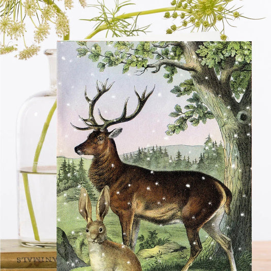 Madame Treacle Cards Christmas Greeting Card - XM116P