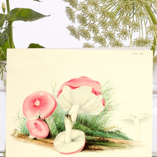 Madame Treacle Cards Little Vintage Greeting Card - VT0075P