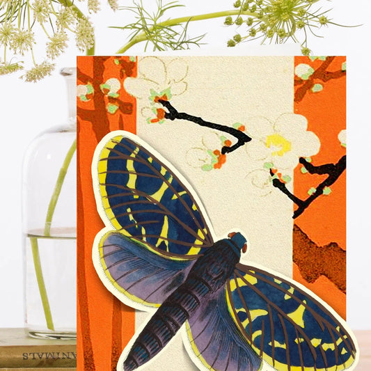 Madame Treacle Cards Pop Up Greeting Card with Butterfly ~ PU001P