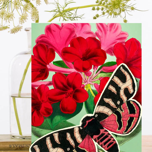 Madame Treacle Cards Pop Up Greeting Card with Butterfly ~ PU002P
