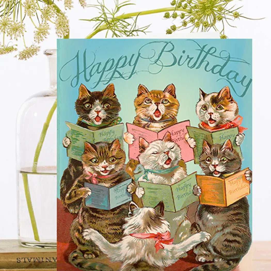 Cat Birthday Greeting Card ~ HB087P - The Hare and the Moon
