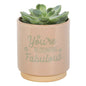 CREAM SPECKLE BLOOMING FABULOUS PLANT POT - The Hare and the Moon