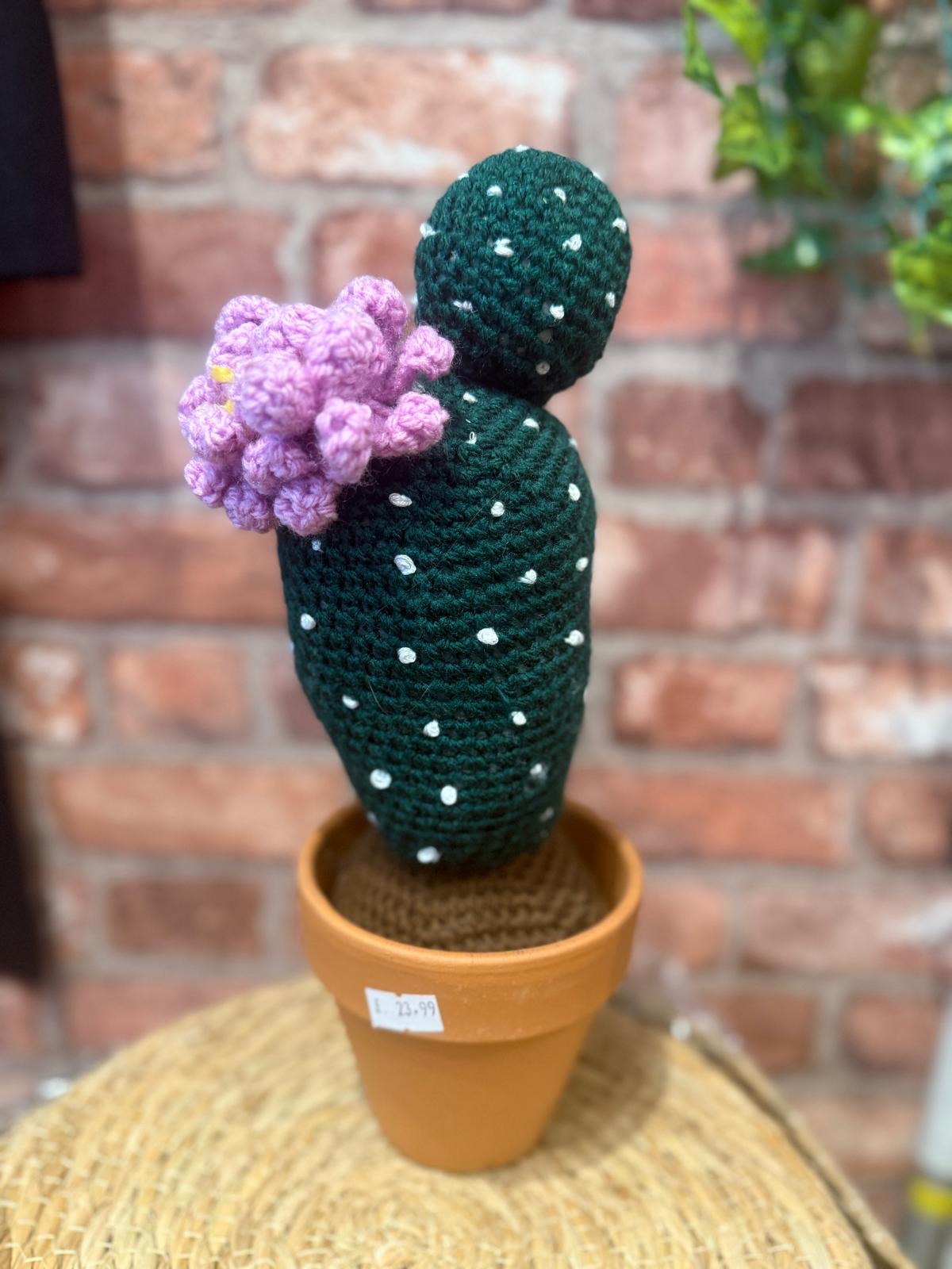 Crochet Cactus in Pot