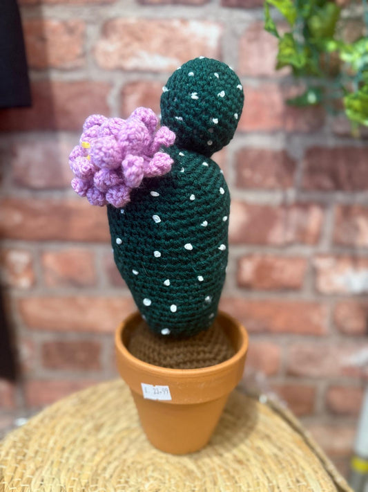 Crochet Cactus in Pot