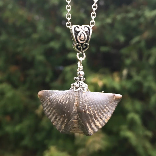 Fossil Necklace / Mucrospirifer - the Winged Brachiopods / P - GHC17