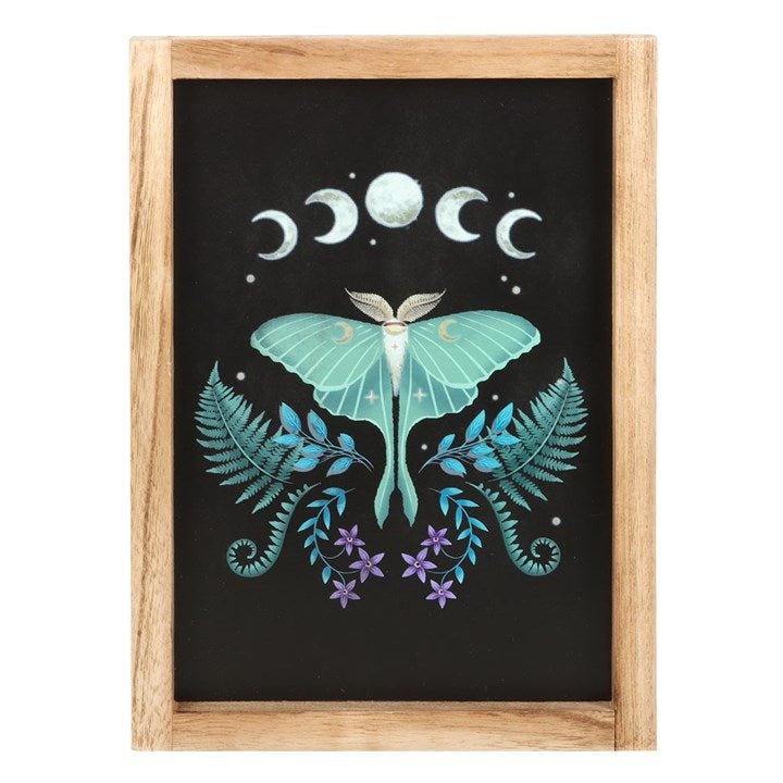 LUNA MOTH FRAMED WALL ART PRINT - The Hare and the Moon